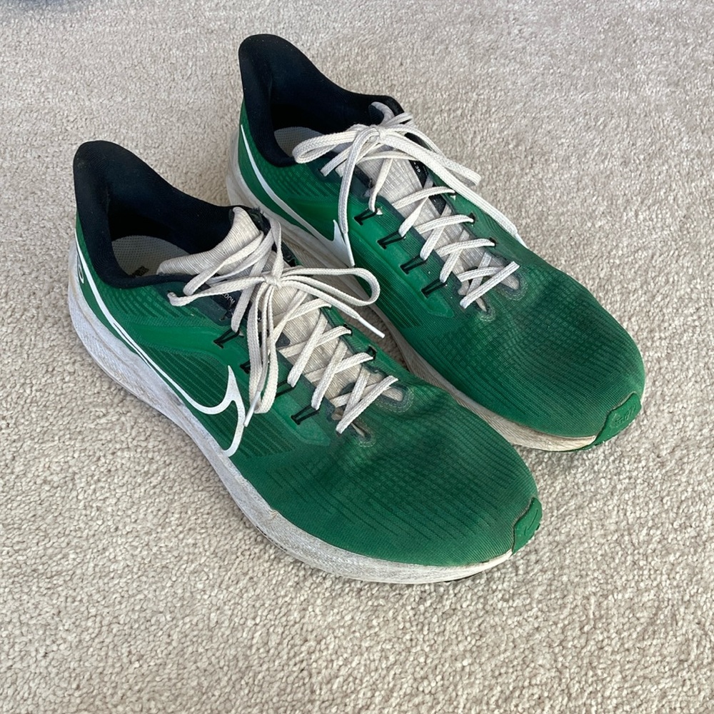 Nike Pegasus OTC Green